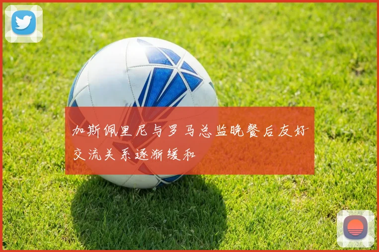 加斯佩里尼与罗马总监晚餐后友好交流关系逐渐缓和