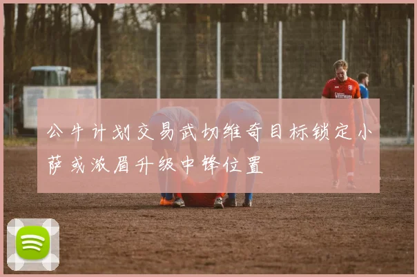 公牛计划交易武切维奇目标锁定小萨或浓眉升级中锋位置