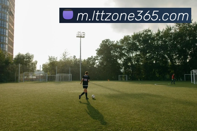 App Interface Preview